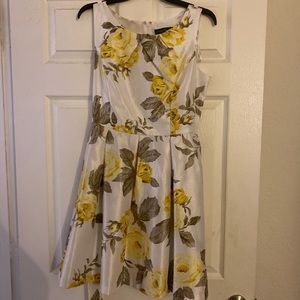 Beautiful, Aline style springtime dress. perfect for any occasion. Size 8